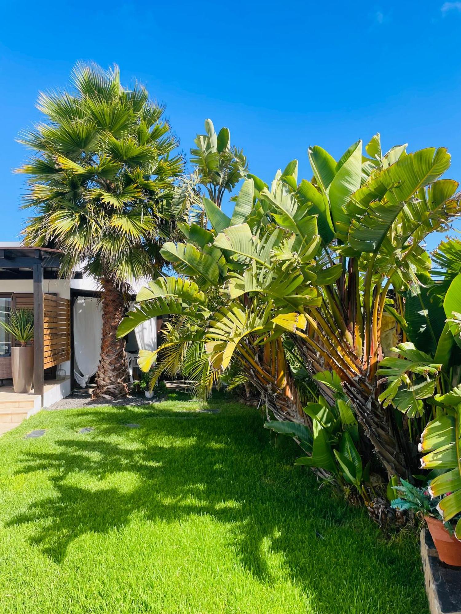 Kalufa Surf House Hostel El Cuchillo Ngoại thất bức ảnh
